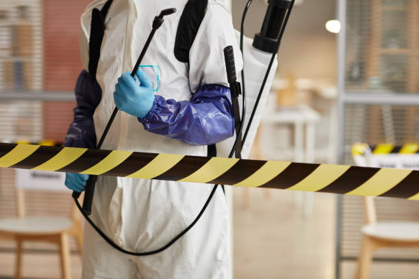 Professional Sewage Cleanup technician working in La Conner, WA
